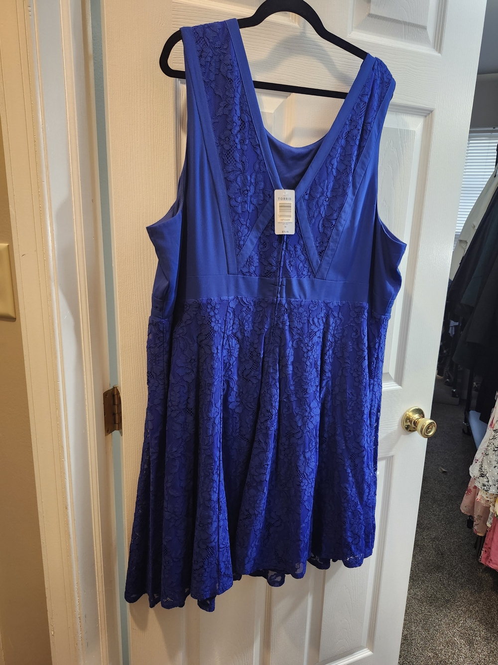 Torrid Royal Blue Lace Fit-and-Flare Mini Dress, 24 = 3X, NWT